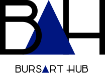 bursarthub.com